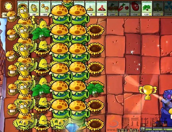 植物大战僵尸杂交版汉堡王2通关攻略(图5) 植物大战僵尸杂交版汉堡王2通关攻略(图5)