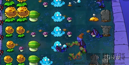 植物大战僵尸杂交版前院告急第十关怎么过(图6) 植物大战僵尸杂交版前院告急第十关怎么过(图6)