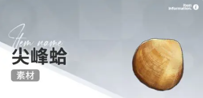 开放空间赶海物什么时候出现(图13) 开放空间赶海物什么时候出现(图13)